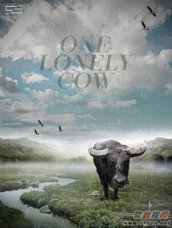 Photoshop制作雨中野外孤独行走的一头牛海报