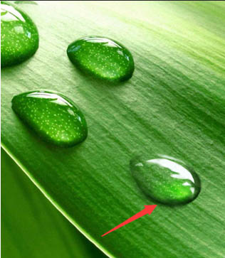 PS制作绿色树叶上的透明小水珠图片
