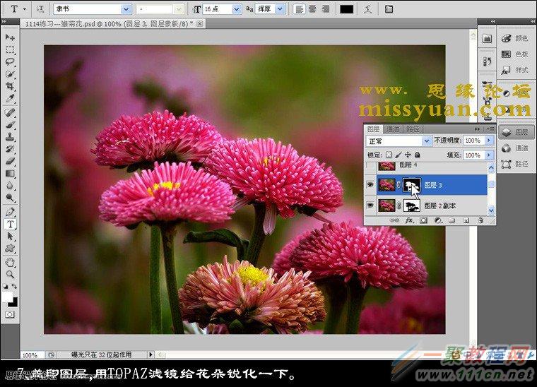 Photoshop增加后期花朵照片的颜色层次感,PS教程,16xx8.com教程网