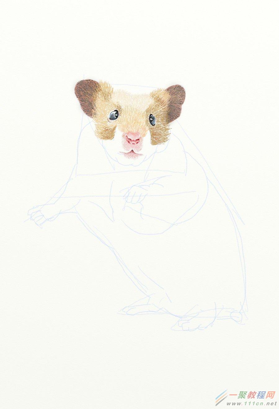 painter绘制一只可爱的老鼠 网管之家 painter教程
