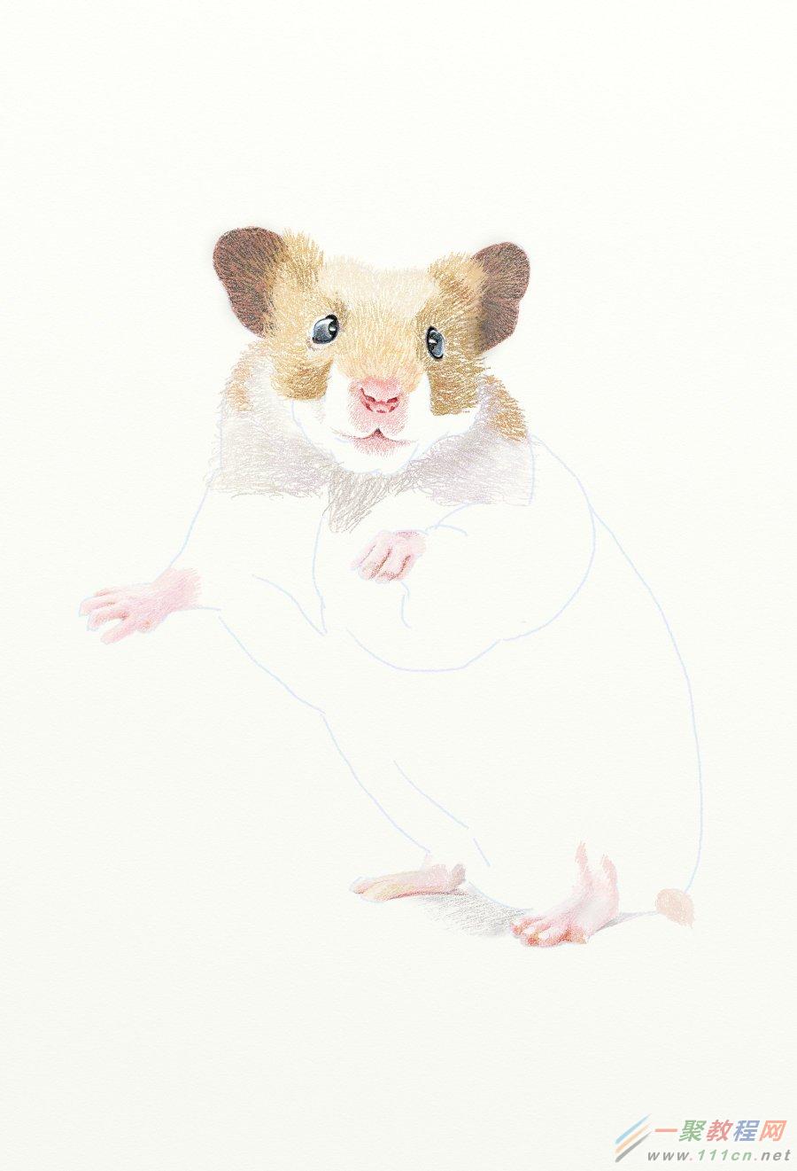 painter绘制一只可爱的小老鼠插画