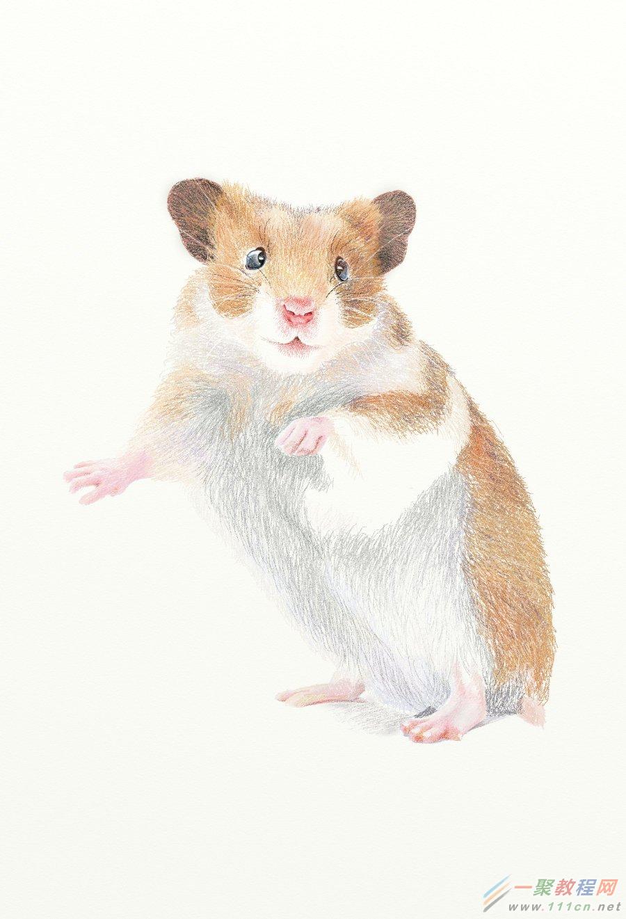 painter绘制一只可爱的老鼠