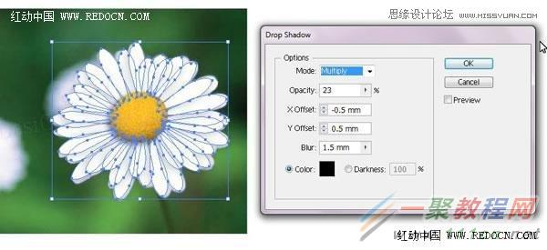 Illustrator绘制漂亮的白色雏菊效果,PS教程,