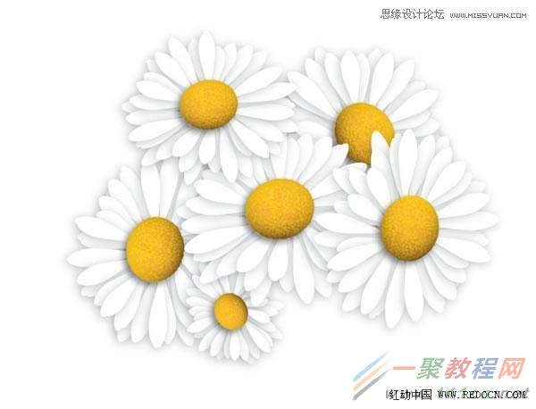 Illustrator绘制漂亮的白色雏菊效果,PS教程,